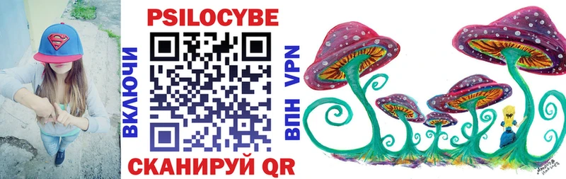 ОМГ ОМГ ССЫЛКА  Бузулук  Псилоцибиновые грибы GOLDEN TEACHER  закладки 